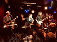 /album/fotografias/bisonte-blanco-cabecera-jpg/